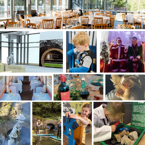 Untitled design (15)