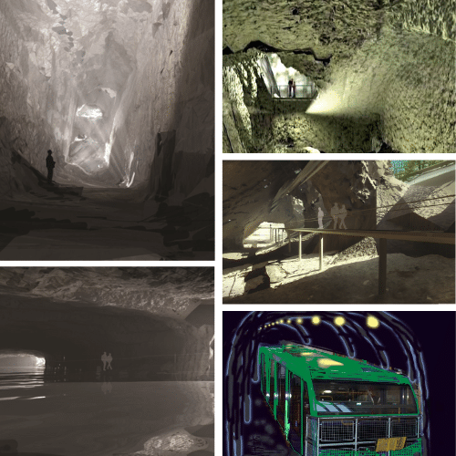 Untitled design (18)