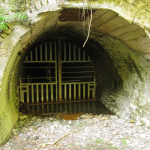 Untitled design (21)